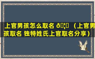 上官男孩怎么取名 🦉 （上官男孩取名 独特姓氏上官取名分享）